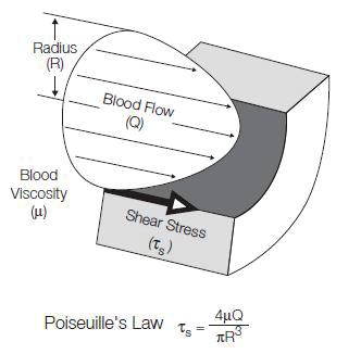 Εικόνα 7. Υπολογισμός της ενδοθηλιακής διατμητικής τάσης βάσει του νόμου Poiseuille, όπου μ είναι η γλοιότητα, Q ο ρυθμός ροής του όγκου και R η εσωτερική ακτίνα του αγγείου. (από Malek et al. JAMA.
