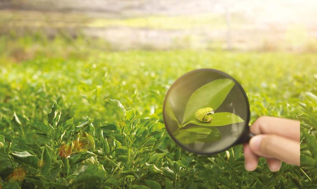 gaiasense eye Η διάσταση του να παρατηρείς και να αναλύεις την καλλιέργεια από κοντά Το gaiasense eye επιτρέπει την καταγραφή πληροφοριών από τους γεωργικούς συµβούλους και τους ίδιους τους