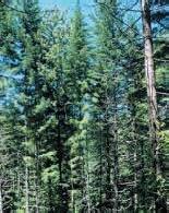 Κεφάλαιο 40ο Εκτιμώ το ποσοστό Συγκρίνω (πο)σωστά % Κατανοώ ότι ποσοστό ενός ποσού είναι ένα μέρος του ποσού αυτού. Μετατρέπω τα κλάσματα σε ισοδύναμα με παρονομαστή το 100.