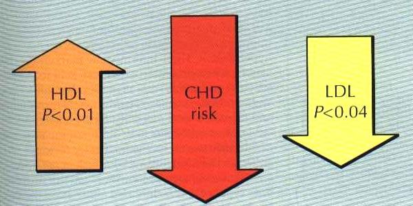 Studiul Helsinki - reducerea CI este asociata cu HDL-C si LDL-C C in timpul a 5 ani de