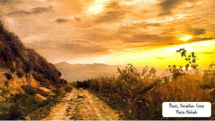 ευγενική χορηγία των Ενώσεων Οινοπαραγωγών που δραστηριοποιούνται στη Βόρεια Ελλάδα και την Κρήτη. Κάθε συμμετέχων/συμμετέχουσα μπορεί να λάβει μόνο μία από τις νικητήριες θέσεις.