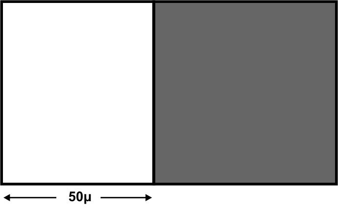 ΘΕΜΑ 7 ο Από πόσα τετράγωνα αποτελείται ο 5 ος όρος του παρακάτω μοτίβου; Απάντηση: Ο 5 ος όρος αποτελείται από τετράγωνα. ΘΕΜΑ 8 ο Σε ένα ορθογώνιο παραλληλόγραμμο το μήκος του είναι 14 εκ.