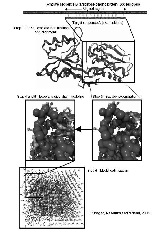 BIO 650: Ειδικά Θέματα