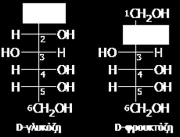 1. EΙΣΑΓΩΓΗ 1.1 Υδατάνθρακες Οι υδατάνθρακες είναι πολύ-υδροξυαλδεΰδες, πολύ-υδροξυκετόνες, ή ενώσεις οι οποίες μπορούν να υδρολυθούν προς αυτές, εμφανίζοντας γενικό τύπο (C2)ν.