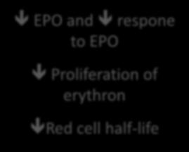 Iron availability in the erythron Anemia Παθοφυσιολογία της ΑΧΝ