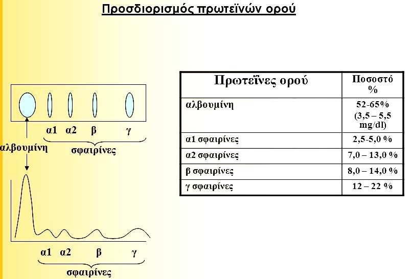 Ανάλυση των πρωτεϊνών του ορού αίματος, ηλεκτροφορητικά και ποσοτικά Ο ΟΡΟΣ ΛΑΜΒΑΝΕΤΑΙ ΜΕΤΑ ΤΗΝ ΠΗΞΗ ΤΟΥ