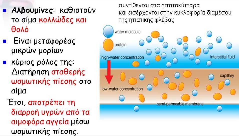 Ο ρόλος της