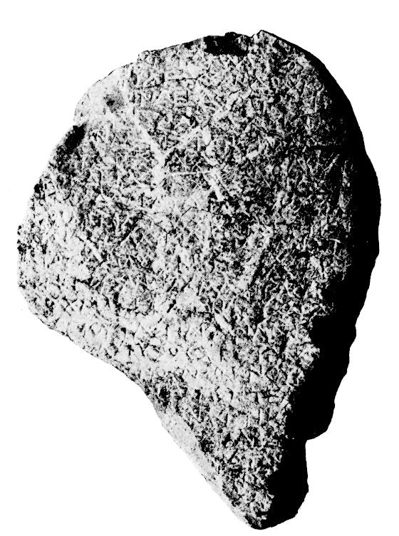 INSCRIPTIONS D'ARGOS 455 contre, non seulement dans le dialecte crétois (1), mais aussi dans le dialecte argien.. παρχρήμα(1; 16) = παραχρήμα. σπαγέντος (1.