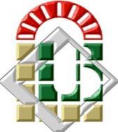 جامعة بسكرة رئيسا د/ رايس حدة أستاذة محاضرة جامعة بسكرة مقررة د/ خوني رابح أستاذ