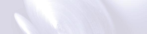 300 Termoizolacija za velika opterećenja i vlažnu sredinu 02175 100 4 3,00 12 36 300 02182 120 3 2,25 14