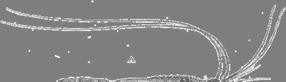 6 Β. Μέτρηση πάχους σμύριγγας πλεοποδίου Πληροφορίες - Τα πλεοπόδια είναι τα τελευταία 5 ζευγάρια ποδιών της γαρίδας Οι σμύριγγες είναι προεκβολές των πλεοποδίων και φέρουν