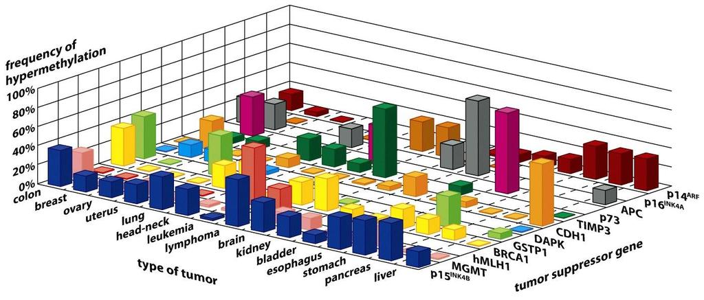 Methylated state of the promoters of 12 genes in a variety of human tumor types The frequency of methylation of a specific gene varies dramatically