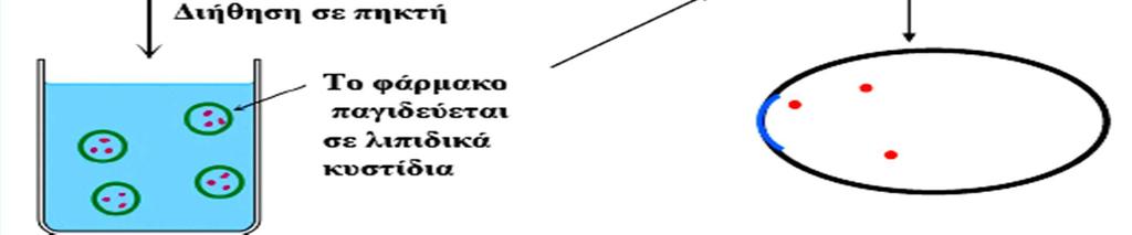 υδρόφιλο φάρμακο με