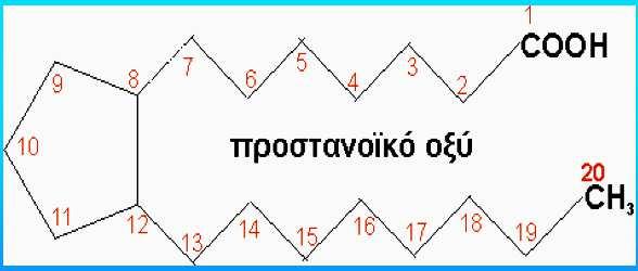 ΠΡΟΣΤΑΓΛΑΔΙΝΕΣ Μια σημαvτική κατηγoρία παραγώγων λιπαρώv oξέωv με 20 C και ευρύ φάσμα βιoλoγικώv δράσεωv, oι πρoσταγλαvδίvες.