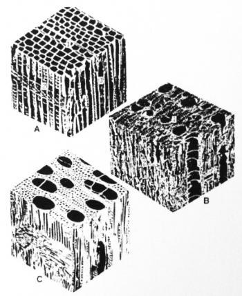 Materiale