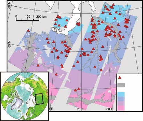 تحليل الجوانب اإلقليمية لتغير المناخ وموارد المياه الفرع 5 Vanished Lakes Floodplains Permafrost Types Continuoous Discontinuous Isolated Sporadic كانت بعض القلنسوات الجليدية والصفائح الجليدية تسهم