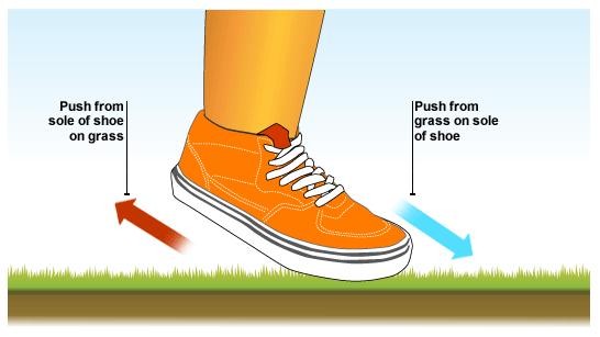 Daya-daya tindakan dan tindak balas adalah akibat daya geseran antara tapak kasut dengan rumput.