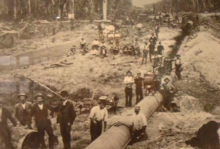 Ausraalias, 1890 Moodsad öösus-orusikud.