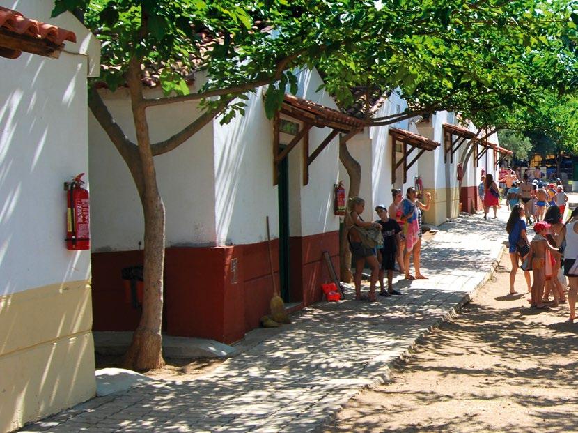Διαθέτουμε ένα συγκρότημα με αθλητικές εγκαταστάσεις αγωνιστικών