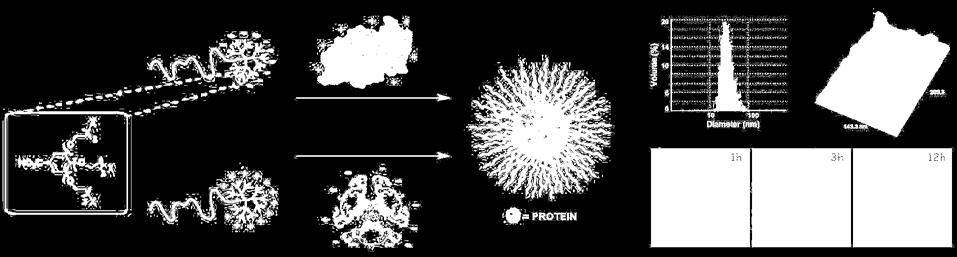 Una estrategia que permite reducir estas limitaciones es su encapsulación en nanotransportadores para aumentar su estabilidad, mejorar su farmacocinética y controlar su liberación.