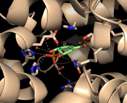 42 PRXECT FRMATIV DESCRIPCIÓN DE ACTIVIDADES A REALIZAR PL/A ALUMN/A Modelización molecular (docking) BXECTIV DA PRÁCTICA LUGAR NDE SE REALIZARÁ A PRÁCTICA Centro Singular de Investigación en Química
