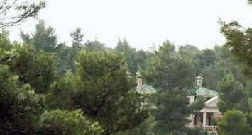 gr διαβάστε την εφημερίδα μας και στο διαδίκτυο ΔΗΜΟΣ ΡΑΦΗΝΑΣ ΣΕΛ.
