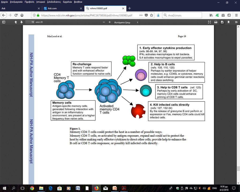 ΛΕΙΤΟΥΡΓΙΕΣ ΤΩΝ ΕΝΕΡΓΟΠΟΙΗΜΕΝΩΝ Τ ΜΝΗΜΟΝΙΚΩΝ ΚΥΤΤΑΡΩΝ Άμεση παραγωγή κυτταροκινών (IFN-γ, IL-4) Νέα συνάντηση με το Ag του εμβολίου Βοήθεια στα Β κύτταρα (έκφραση CD40L, κυτταροκίνες) Τ μνημ κυτ