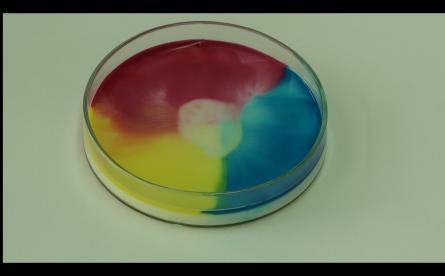 Αποτελέσματα Εξήγηση του πειράματος: Κατά την εξέλιξη του χρώματος έχουμε γρήγορη κίνηση έξω από την κατεύθυνση του κέντρου του πιάτου.