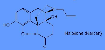 Nalokson