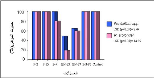 ةمجم م معلا ةيعار ز لا ةيقار علا )2(43 (ددع :)صاخ,113-13 212 حلاص دبع حاتفلا 39 رامث حافتلا ذإ ىدأ ةفاضإ ؽلاع هذى ةلزعلا ىلإ حرجلا ةحقمملا R.