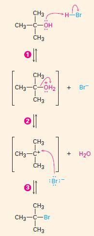 Acest mecanism explică de ce reacția este de ordinul II: ea decurge într-o singură etapă, în care sunt implicate două molecule: atât gruparea nucleofilă, cât și halogenura de alchil.