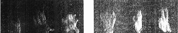 FIBRE TEXTILE a b c d