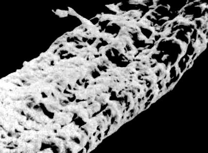 212 MANUALUL INGINERULUI TEXTILIST FIBRE TEXTILE Titlu (dtex) 5,5 Lungime (mm) 80,0 Tenacitate climatizat (cn/tex) 12,0 Alungire la rupere climat. (%) 17,0 Conţinut în grafit (%) 40,0 Fig. I.4.13.