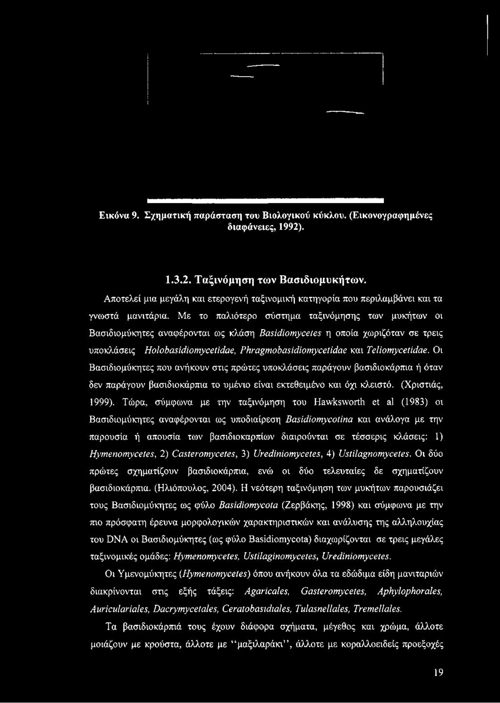 Με το παλιότερο σύστημα ταξινόμησης των μυκήτων οι Βασιδιομύκητες αναφέρονται ως κλάση ΒαήάίοηχγαβΐβΗ η οποία χωριζόταν σε τρεις υποκλάσεις Holobasidiom.ycetid.