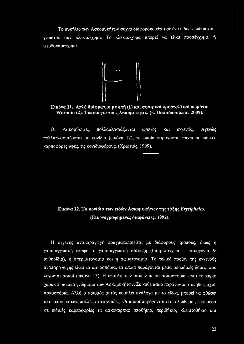 Οι Ασκομύκητες πολλαπλασιάζονται αγενώς και εγγενώς.