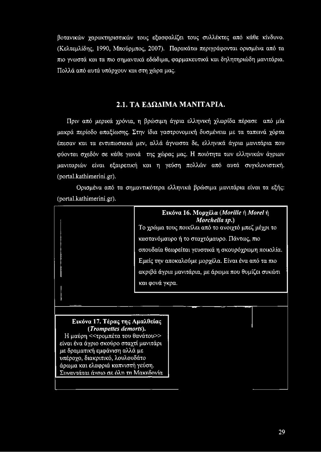 ΤΑ ΕΔΩΔΙΜΑ ΜΑΝΙΤΑΡΙΑ. Πριν από μερικά χρόνια, η βρώσιμη άγρια ελληνική χλωρίδα πέρασε από μία μακρά περίοδο απαξίωσης.