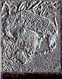 4 κιλά. Εικόνα 23.