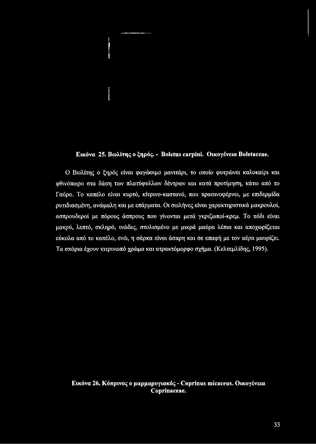 πλατύφυλλων δέντρων και κατά προτίμηση, κάτω από το Γαύρο.