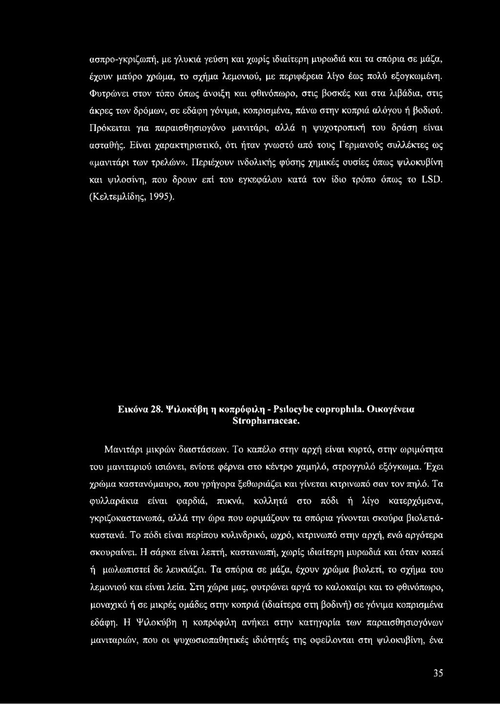 Πρόκειται για παραισθησιογόνο μανιτάρι, αλλά η ψυχοτροπική του δράση είναι ασταθής. Είναι χαρακτηριστικό, ότι ήταν γνωστό από τους Γερμανούς συλλέκτες ως «μανιτάρι των τρελών».