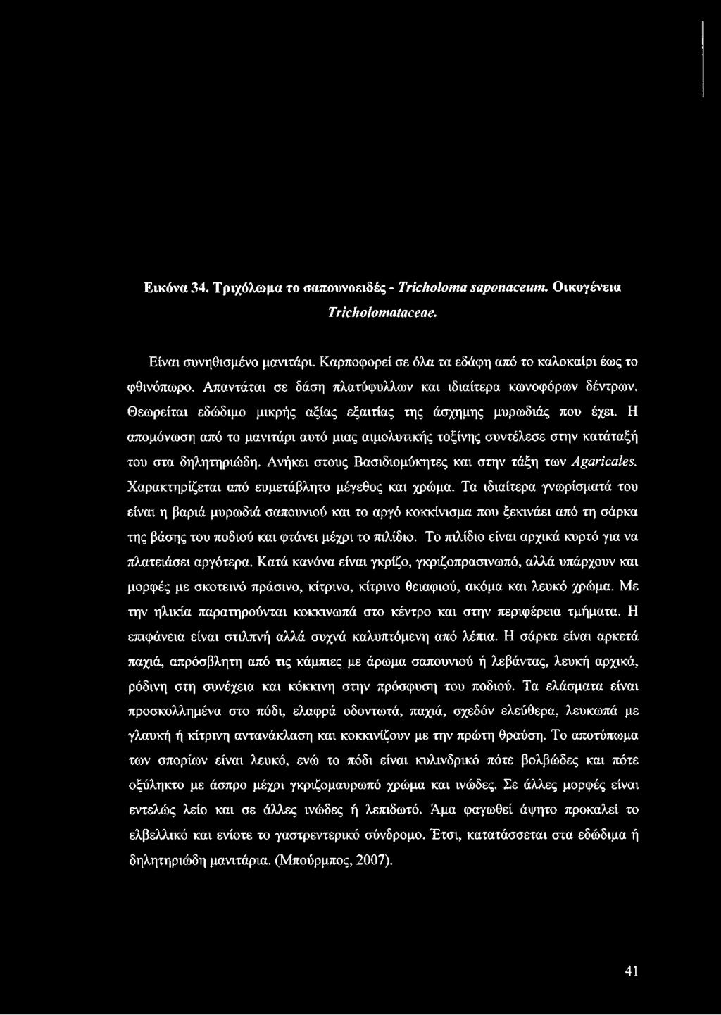 Η απομόνωση από το μανιτάρι αυτό μιας αιμολυτικής τοξίνης συντέλεσε στην κατάταξή του στα δηλητηριώδη. Ανήκει στους Βασιδιομύκητες και στην τάξη των Agaricales.