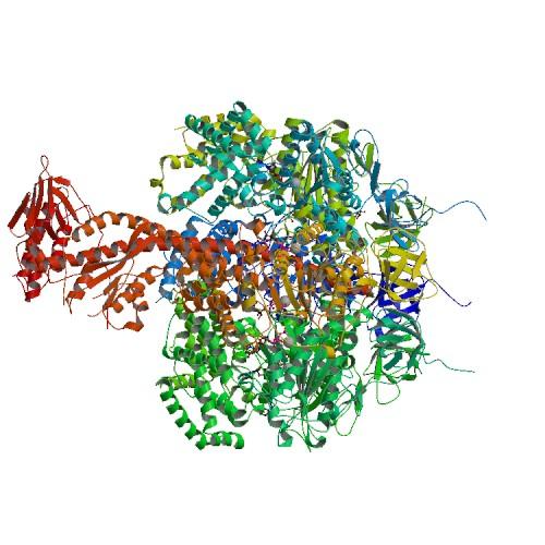 Structura cuaternară este specifică numai anumitor proteine şi reprezintă nivelul de organizare structurală cel mai