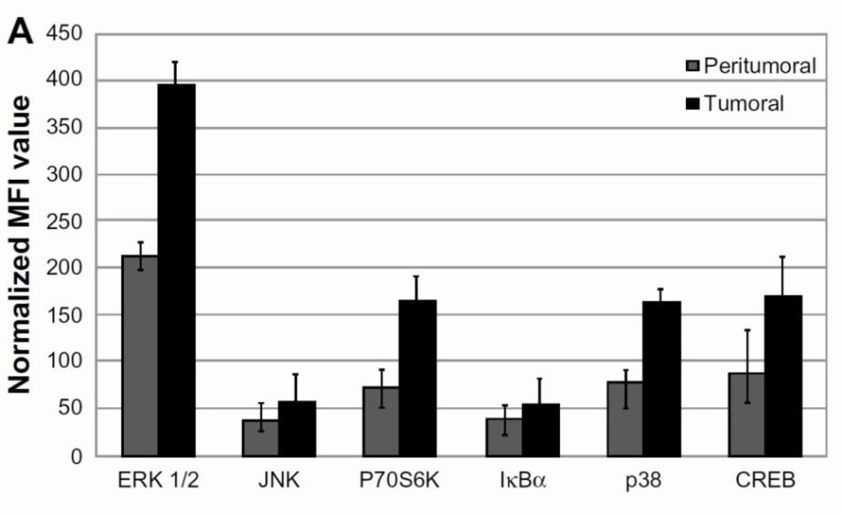 VI.7. Evaluarea moleculelor de semnalizare pe linii standard, culturi primare de glioblastom şi ţesut aferent În studiul de faţă a fost examinat pattern-ul de expresie al mai multor molecule