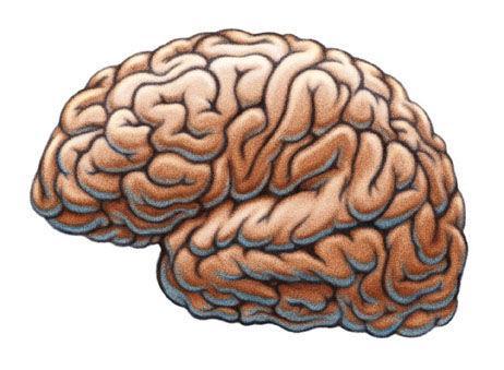 Cognitive Modeling (Γνωστική