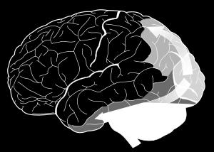 "How Pathway", is associated with motion,