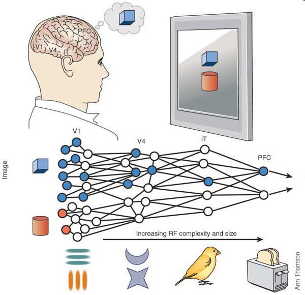 Steven Yantis 2005, How visual salience wins the