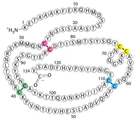 Proteins ביוונית -