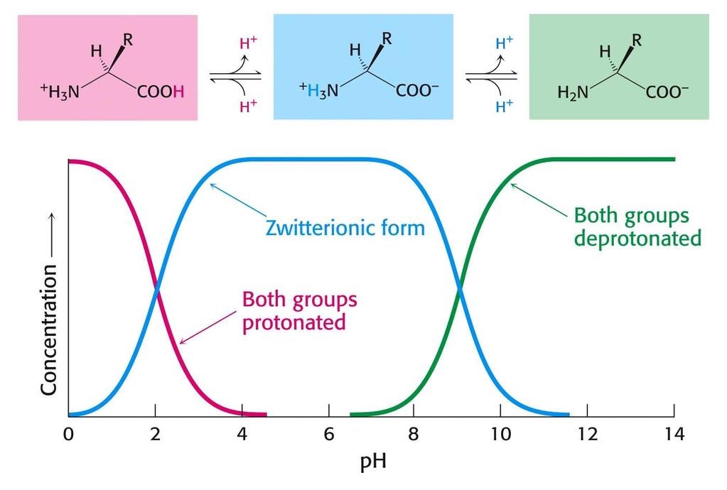 ph=1 ph=7