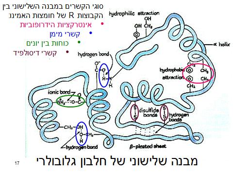 מקסימום אינטראקציות מאפ שר מקסימום יציבות.