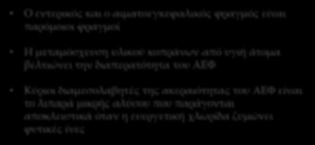 Αλλοιώσεις προμετωπιαίου φλοιού Ακεραιότητα αιματοεγκεφαλικού φραγμού