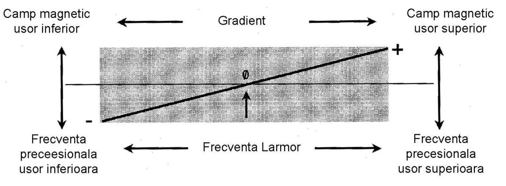 Variatia frecventei